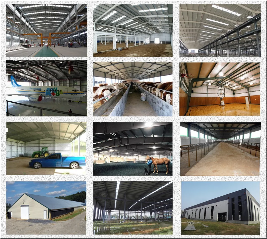 Steel Structure Green Chicken Poultry Structure Fabrication Poultry Farm Houses Price