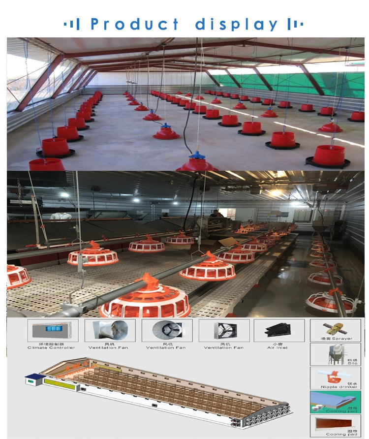 Good Price Prefabricated/ Prefab Light Steel Frame Construction Structure Modular Design Frame Chicken Poultry Farm House