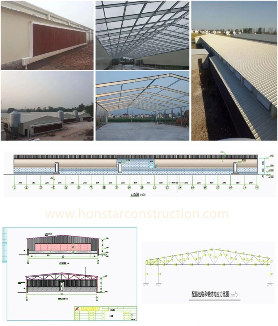 Light Steel Structure Metal Frame Prefabricated Chicken House/Chicken Coop/Hen House/Prefab Poultry Farm House Building with Farming Equipment