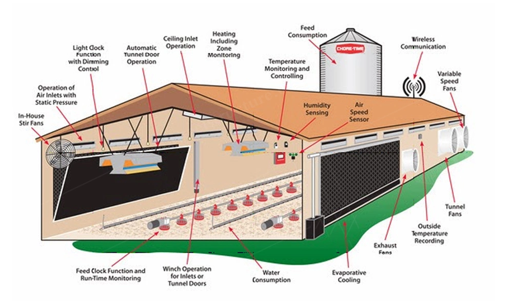 Steel Frame Metal Structure Poultry Commercial Chicken House