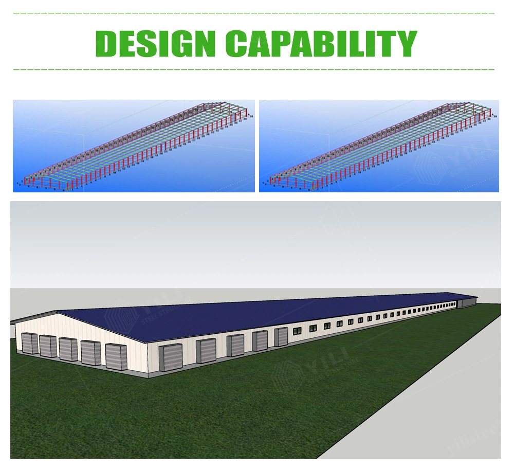 Steel Frame Metal Structure Poultry Commercial Chicken House