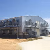 Struttura in acciaio, struttura verde di pollo e pollame, produzione di allevamento di pollame, prezzo