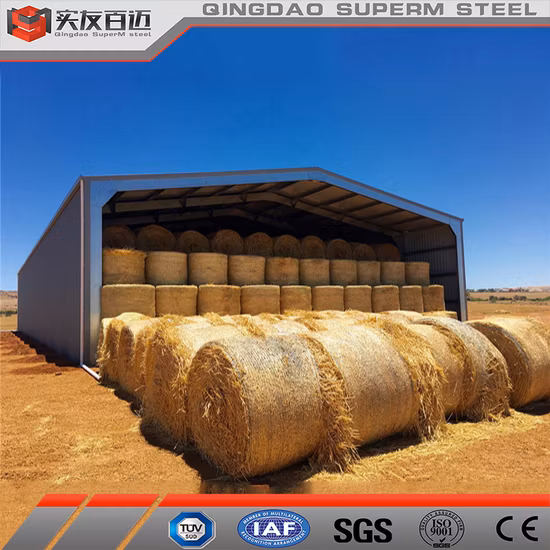 Capannoni metallici prefabbricati, struttura in acciaio, magazzino, edificio adibito a officina in vendita